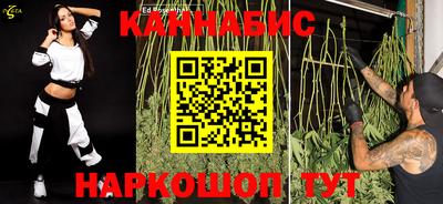 индика Будённовск