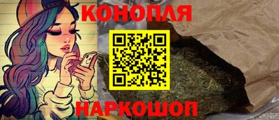 индика Будённовск