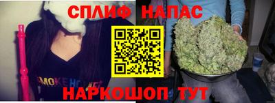 индика Будённовск