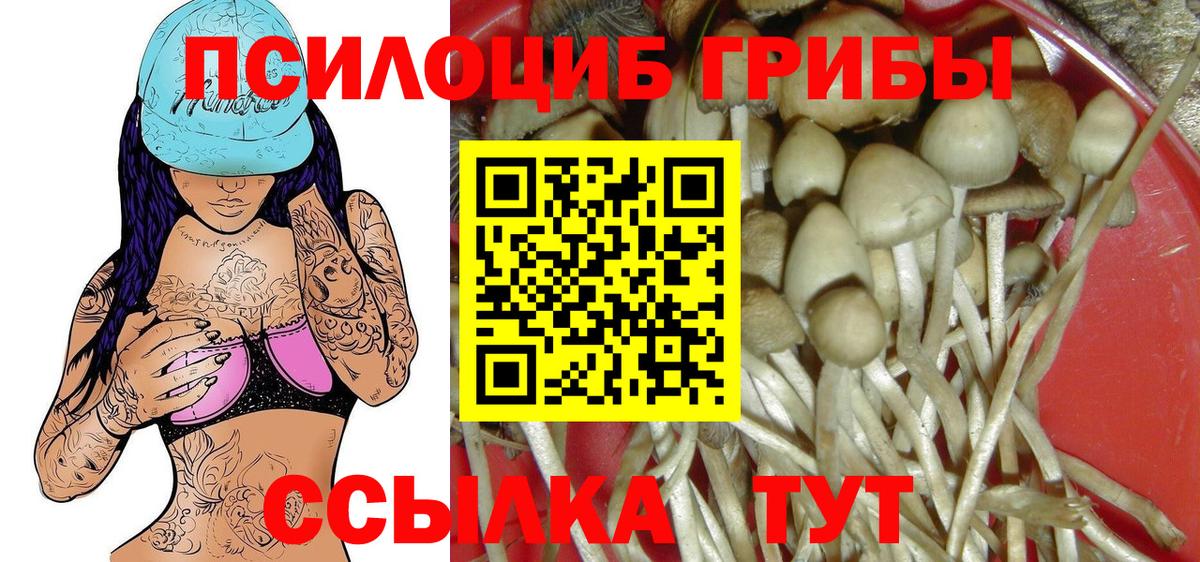 Галлюциногенные грибы мухоморы  Вход с VPN  цена   Самара 