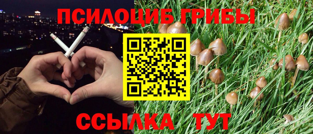 Псилоцибиновые грибы мицелий Самара